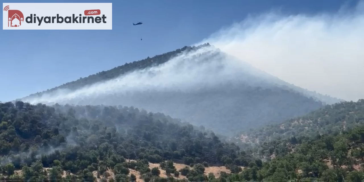 Diyarbakır'da Çıkan Yangında Örtü Alev Aldı: İtfaiye Ekipleri Hem Havadan Hem Karadan Müdahale Ediyor