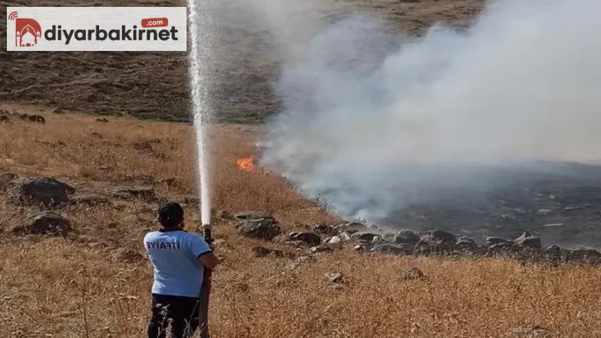 Şırnak'ta 7 köyde başlayan anız yangını, ekipler tarafından kontrol altına alındı