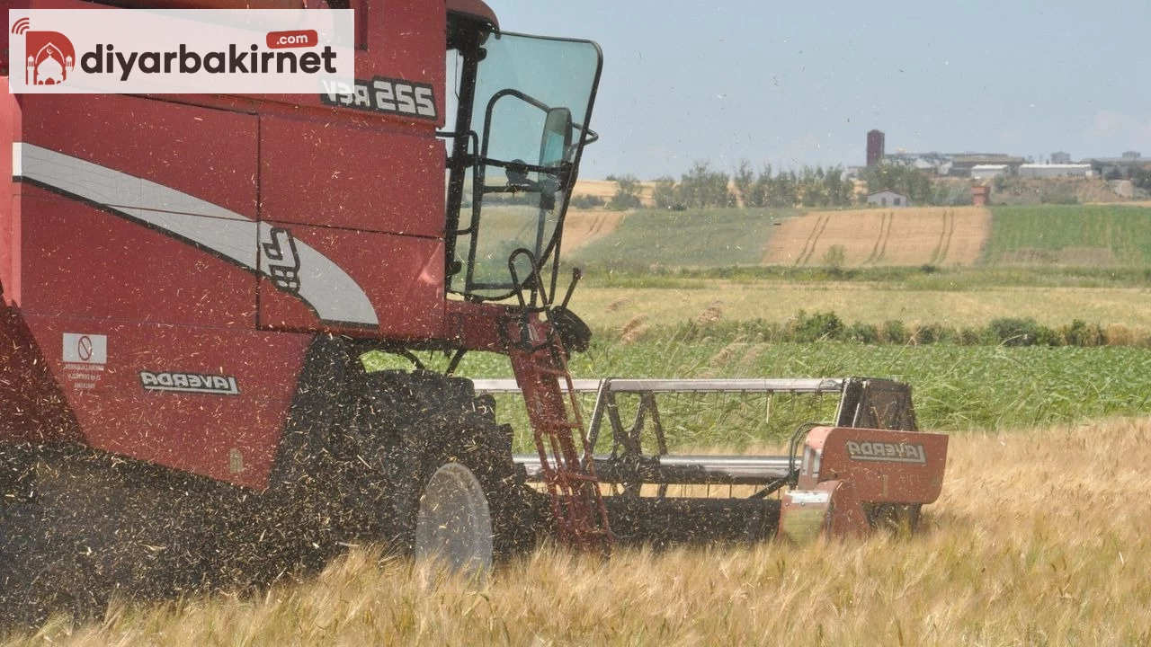 Arpa Hasadı Başladı: Çiftçiler Memnun Değil..