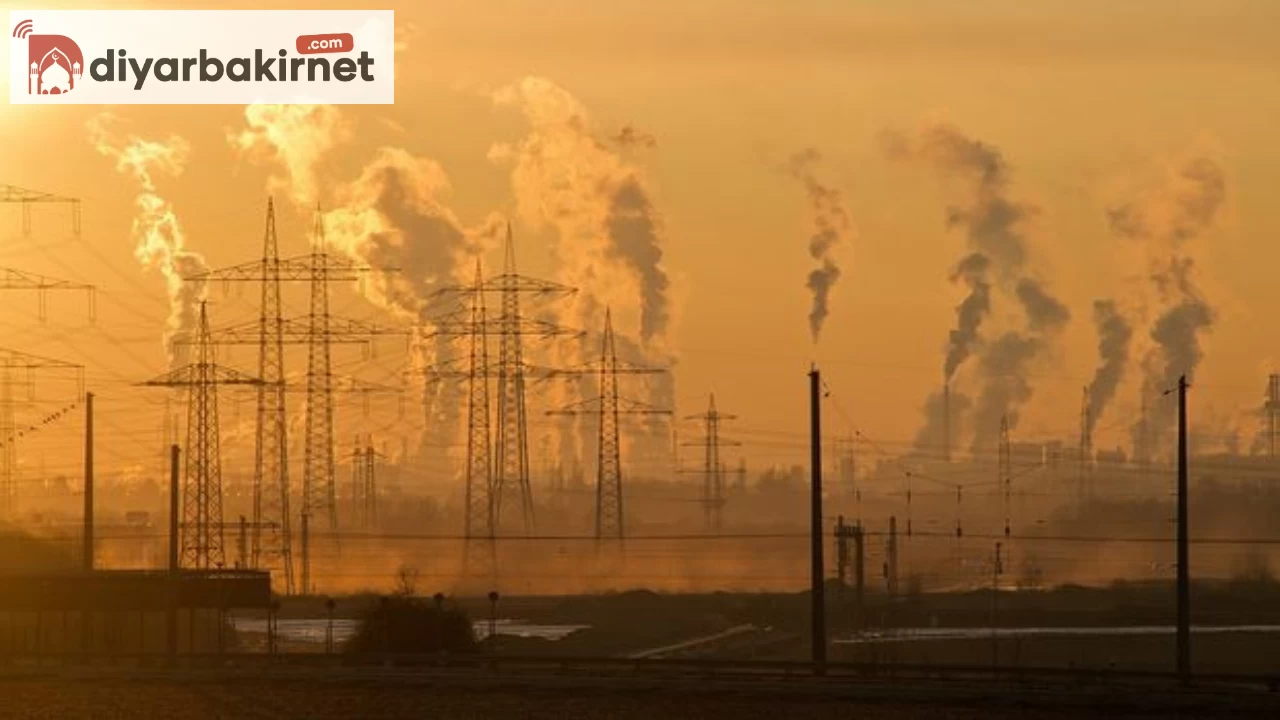 Hava kirliliği yılda 8 milyondan fazla insanın hayatına mal oldu - Bilim İnsanları Uyarıyor