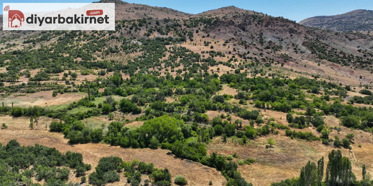 Diyarbakır'da Kırsal Kalkınma Projesi kapsamında binlerce dönüm arazi sulanıyor