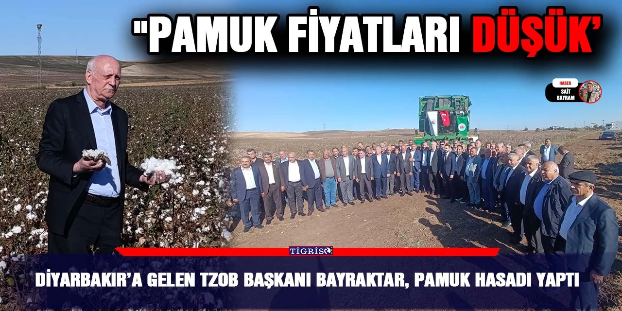 - TZOB Başkanı Bayraktar, Diyarbakır'da Pamuk Hasadı Gerçekleştirdi