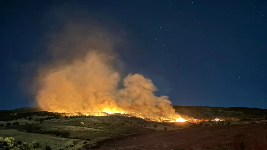 Gölbaşı'nda Ormanlık Bölgede Meydana Gelen Yangın Endişe Yarattı