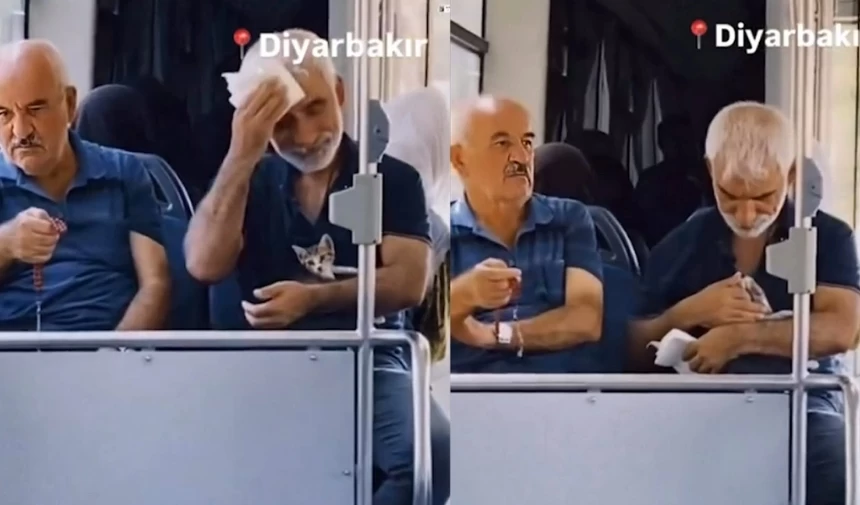 Diyarbakır’da Yürek Isıtan Görüntüler: Vatandaş Yavru Kediyi Kucağında Taşıyarak Sevdi