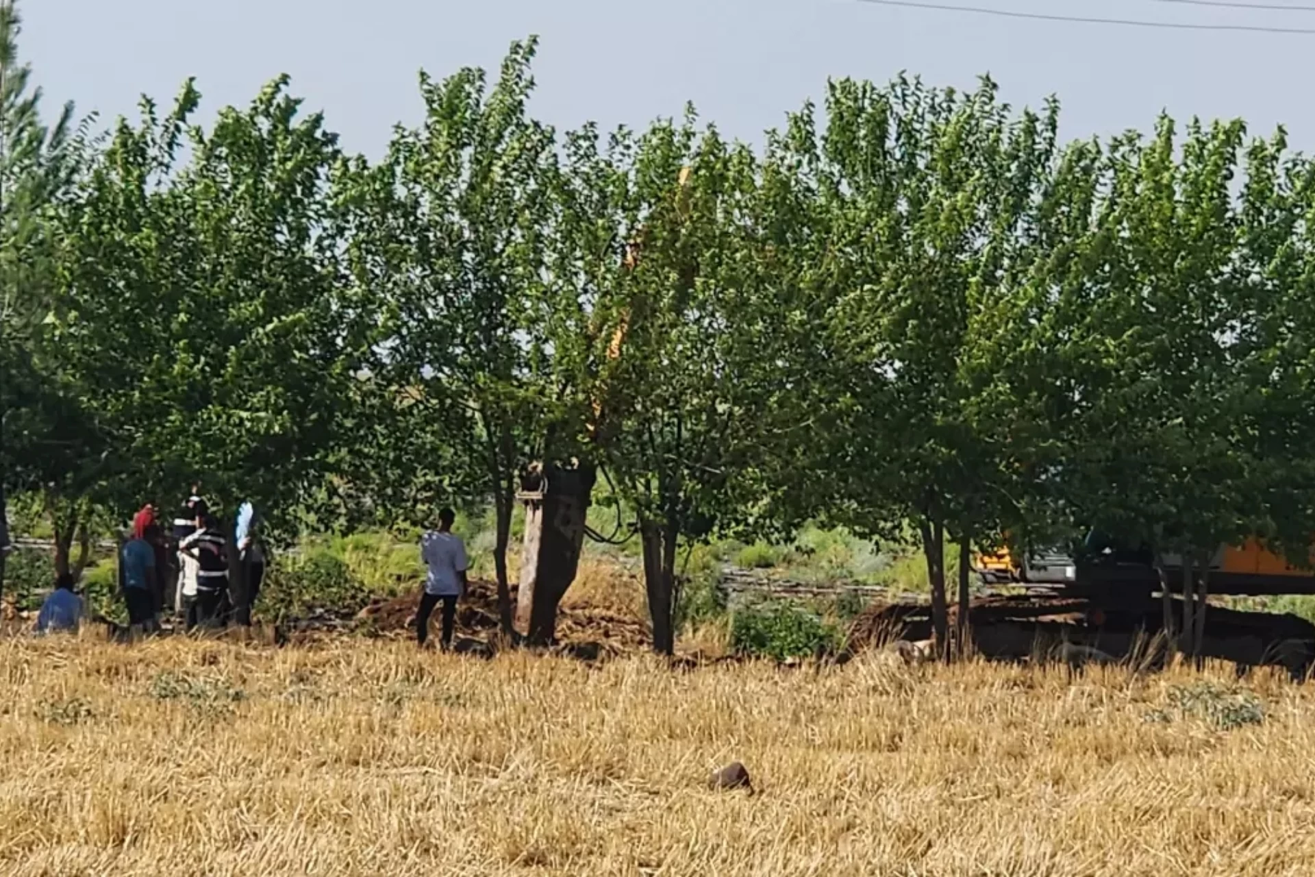 Diyarbakır'da Kayıp Narin Güran'ı Arama Çalışmaları Belirli Bir Noktada Yoğunlaştı