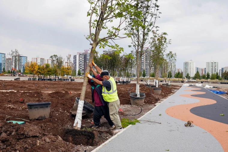 Diyarbakır Büyükşehir Belediyesi ekipleri yeni yapılan bir yürüyüş yolunun kenarına fidan dikiyor